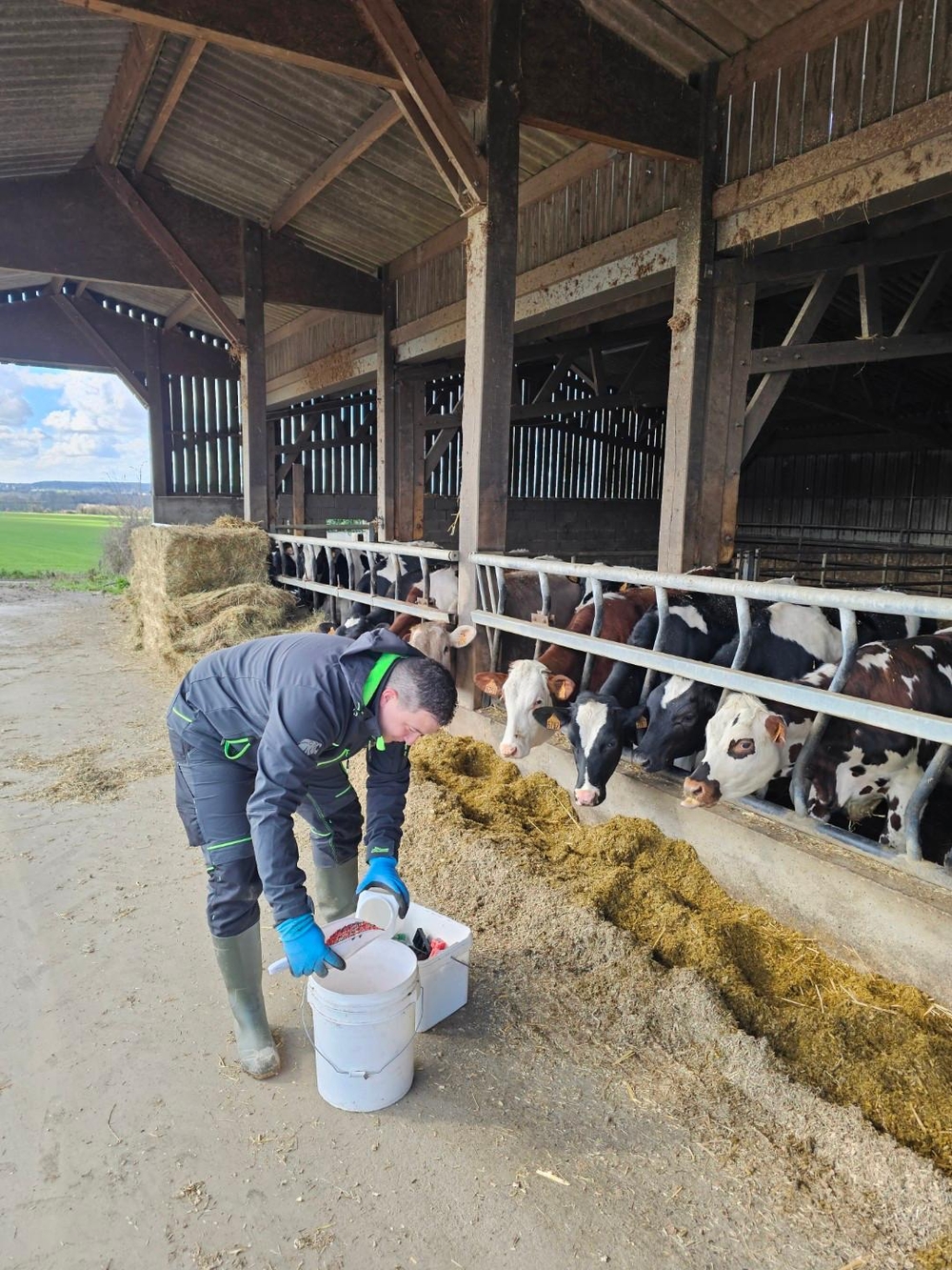 Intervention de dératisation dans une exploitation agricole à Molay-Littry