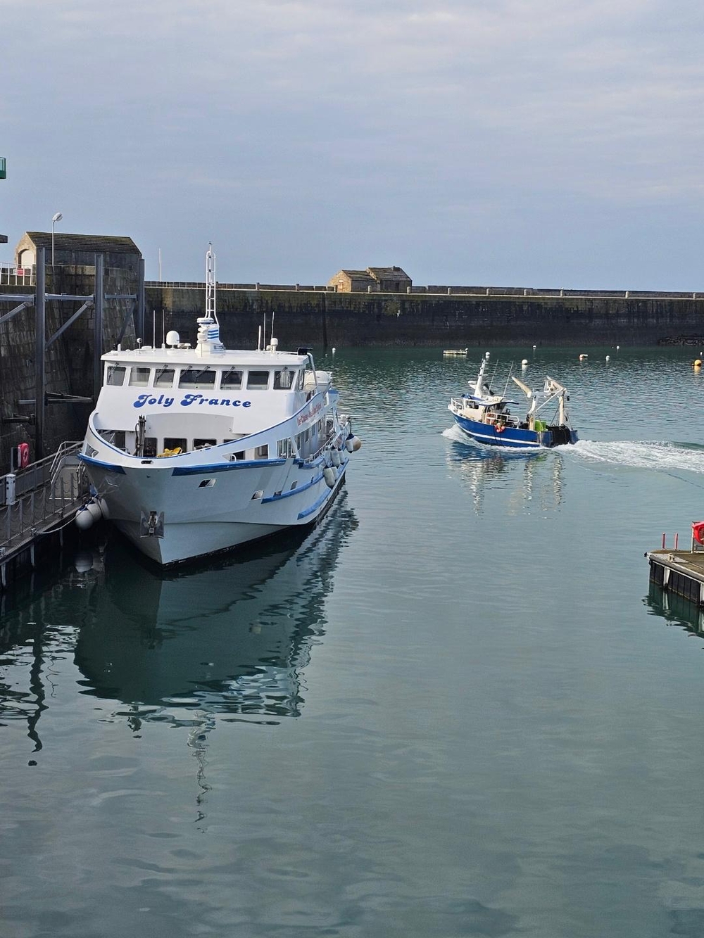 Intervention dératisation îles Chausey